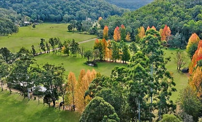 541 Yango Creek Road Laguna NSW 2325 - Image 3