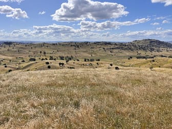 Mount Darling Road Wyangala NSW 2808 - Image 3