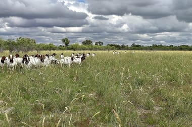 Barcaldine QLD 4725 - Image 1