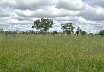 Barcaldine QLD 4725 - Image 3