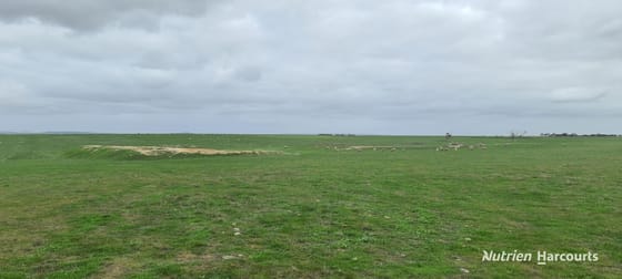 Lot 311 Borden-Bremer Bay Road Bremer Bay WA 6338 - Image 1