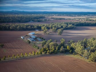 125 North Condobolin Road Bedgerabong NSW 2871 - Image 2