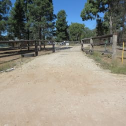 216 Butlers Road Tara QLD 4421 - Image 1