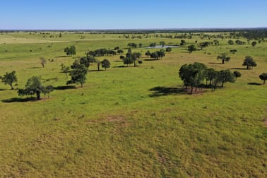 Click to view all images 564 ORALLO ROAD Roma QLD 4455 - Image 3