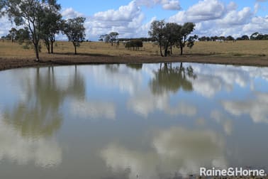 ORALLO ROAD Roma QLD 4455 - Image 3
