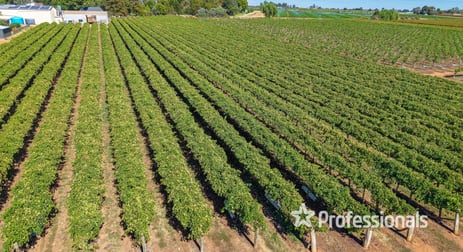 14 Sultana Avenue Irymple VIC 3498 - Image 1