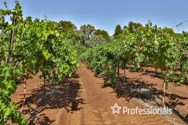 14 Sultana Avenue Irymple VIC 3498 - Image 2