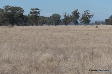 1125 Coach Road Kialla East VIC 3631 - Image 3