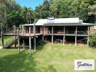 2529 Cape Tribulation Bloomfield Rd Bloomfield QLD 4895 - Image 2