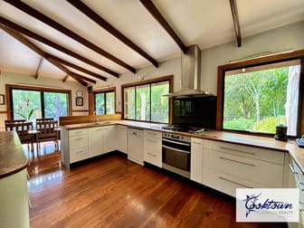 2529 Cape Tribulation Bloomfield Rd Bloomfield QLD 4895 - Image 3