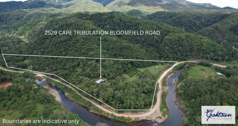 2529 Cape Tribulation Bloomfield Rd Bloomfield QLD 4895 - Image 2