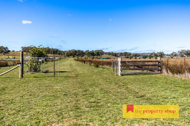 93 Williams Road Gulgong NSW 2852 - Image 2