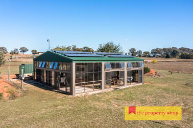 93 Williams Road Gulgong NSW 2852 - Image 3