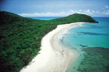 2159 Cape Tribulation Road Diwan QLD 4873 - Image 2