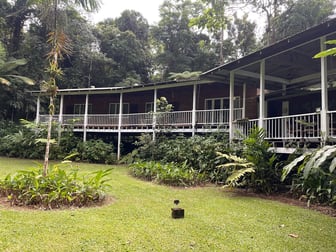 2159 Cape Tribulation Road Diwan QLD 4873 - Image 3