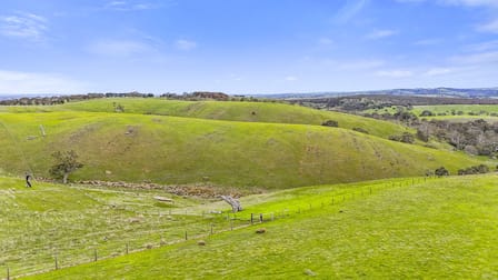 Lot 101 Wattle Flat Road Ashbourne SA 5157 - Image 1