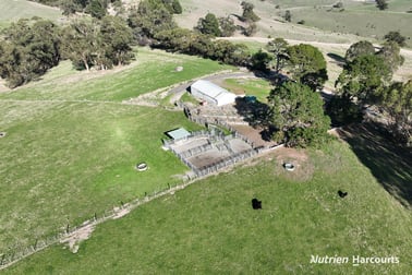 51 & 95 Kuhnes Road Mardan VIC 3953 - Image 1