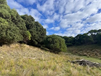 274 South Road Nugara TAS 7256 - Image 3
