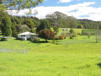Dorrigo NSW 2453 - Image 1
