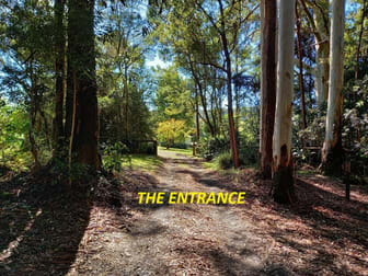 Dorrigo NSW 2453 - Image 2