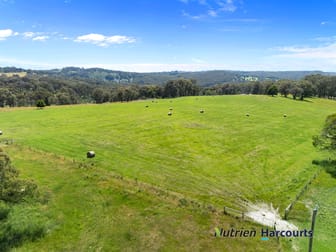 241 Chisholms Road Highlands VIC 3660 - Image 1