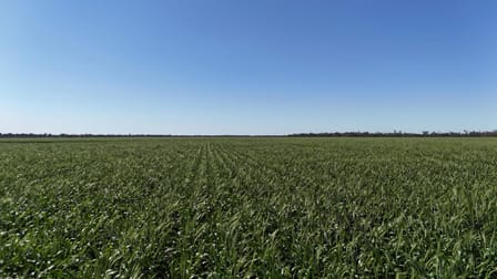 Toobeah QLD 4498 - Image 1