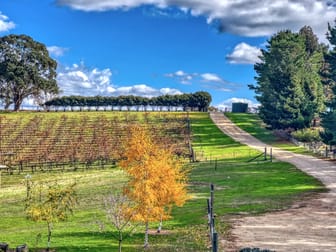 2222 Bylong Valley Way Rylstone NSW 2849 - Image 1