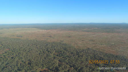 * CABLE DOWNS Cobar NSW 2835 - Image 2
