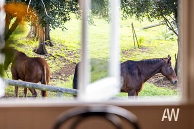 162 Walli Creek Road Kenilworth QLD 4574 - Image 2