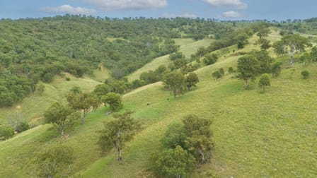 'Paradise' Davis Creek Rd Rouchel NSW 2336 - Image 2