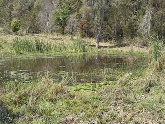 1010 Brays Creek Road Brays Creek NSW 2484 - Image 2