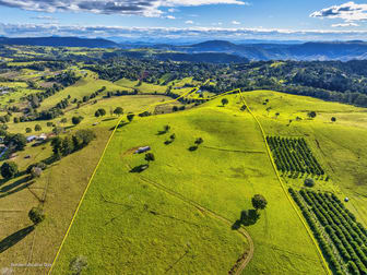 1696 Beechmont Road Beechmont QLD 4211 - Image 1