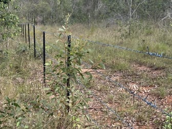 LOT 145 Svenssons Road Booyal QLD 4671 - Image 2