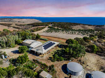 74 Williams Road Cape Jervis SA 5204 - Image 1
