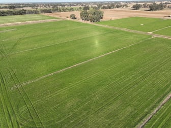 104 Shinnicks Road Strathmerton VIC 3641 - Image 2