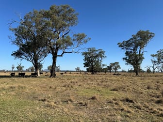 122 Reapers Road Culcairn NSW 2660 - Image 1