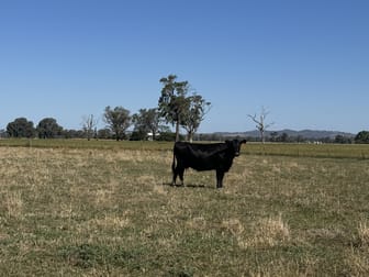 122 Reapers Road Culcairn NSW 2660 - Image 2