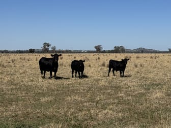 122 Reapers Road Culcairn NSW 2660 - Image 3