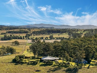 269 Nindooinbah Estate Road Nindooinbah QLD 4285 - Image 2