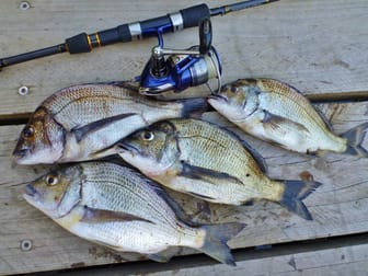 59B Burgess Track, Wallagaraugh Genoa VIC 3891 - Image 3