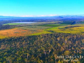 326 Springs Road Paddys Green QLD 4880 - Image 2