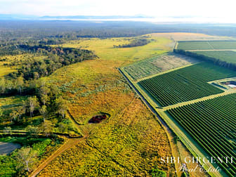 326 Springs Road Paddys Green QLD 4880 - Image 3