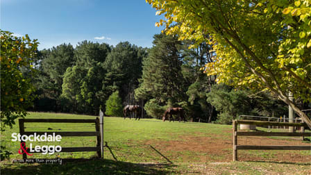 1568 Grand Ridge Road Mirboo VIC 3871 - Image 2