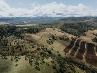 1006 North Branch Road Goomburra QLD 4362 - Image 2