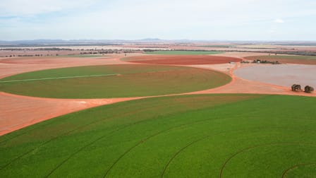 2451 Lachlan River Road Hillston NSW 2675 - Image 1