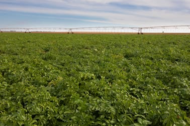 2451 Lachlan River Road Hillston NSW 2675 - Image 3