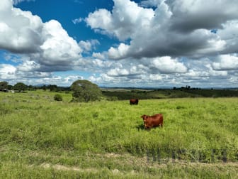31791 Bruce Highway Booyal QLD 4671 - Image 1