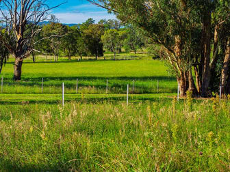 2877 Coulsons Creek Road Merriwa NSW 2329 - Image 2