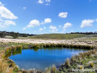2784 Abercrombie Road Black Springs NSW 2787 - Image 2