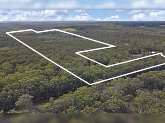 339 The Wool Road St Georges Basin NSW 2540 - Image 1